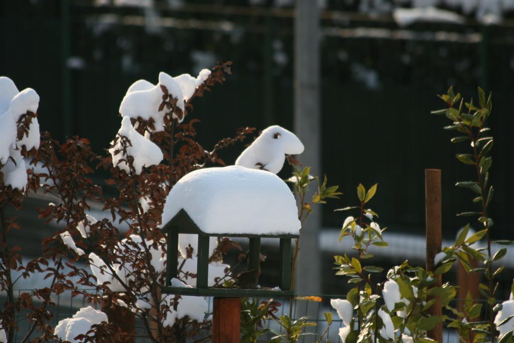 B&B La Casa Di Campagna 베르가모 외부 사진