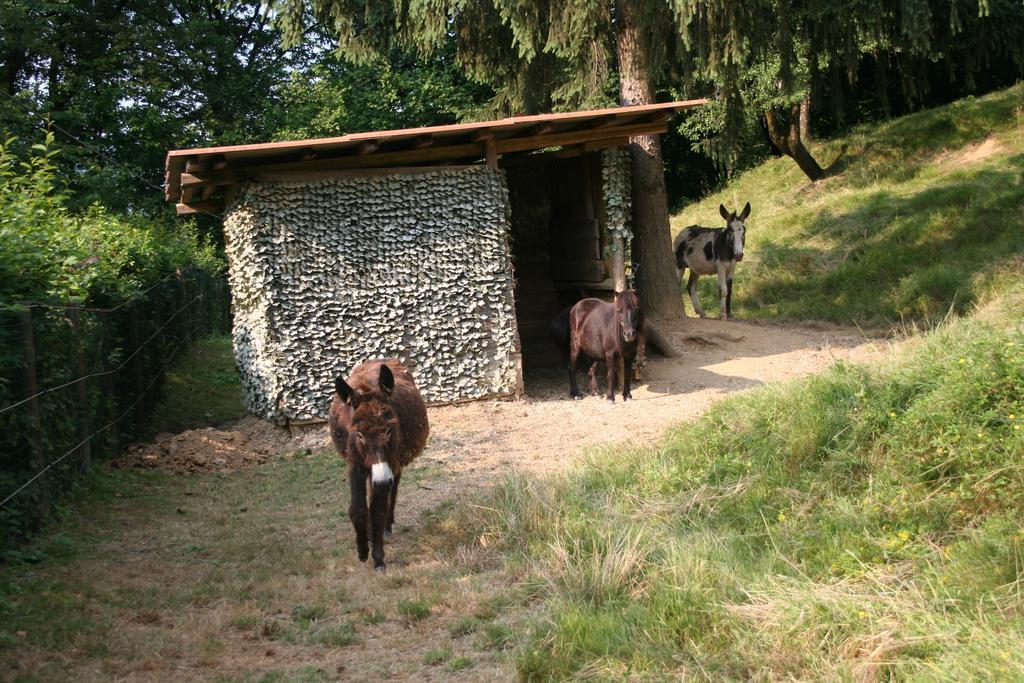 B&B La Casa Di Campagna 베르가모 외부 사진