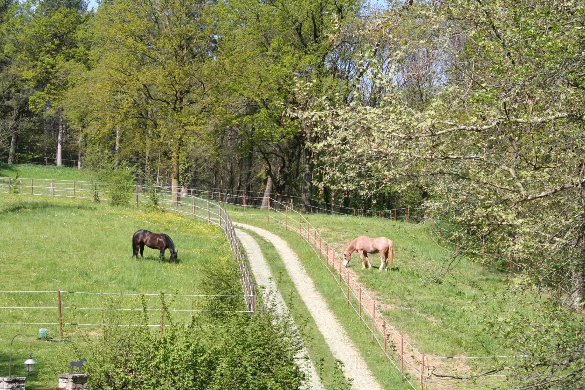 B&B La Casa Di Campagna 베르가모 외부 사진
