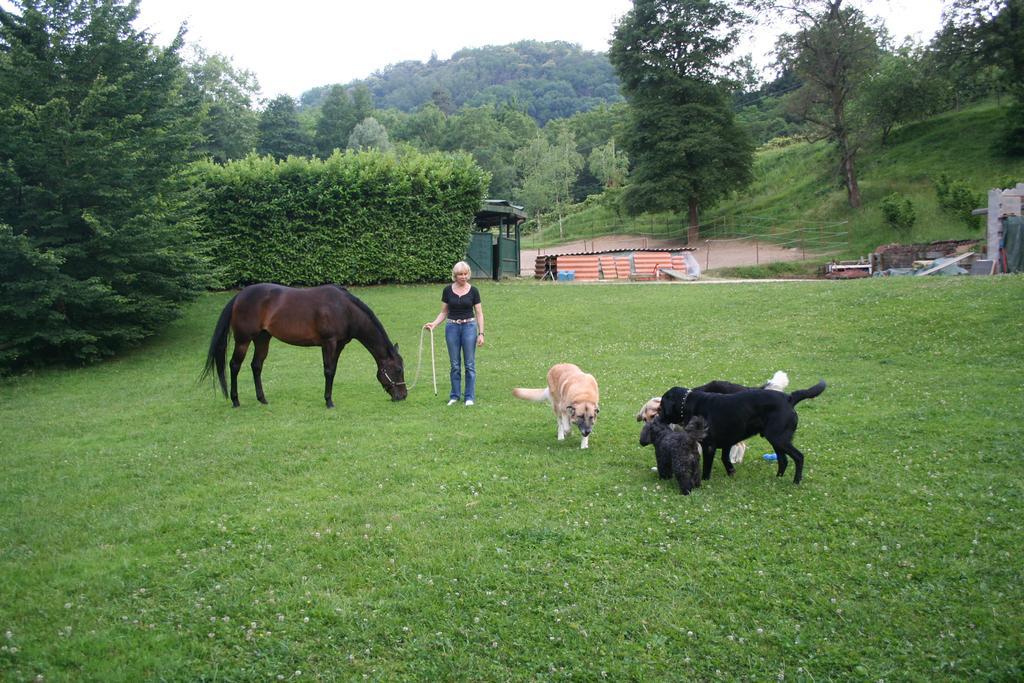 B&B La Casa Di Campagna 베르가모 외부 사진