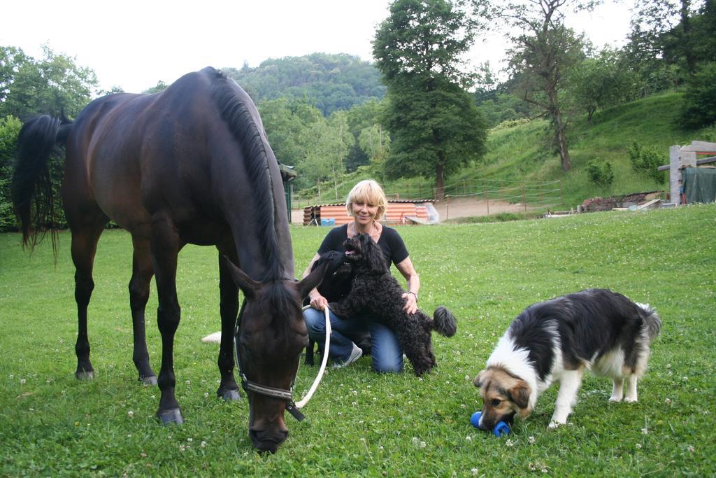 B&B La Casa Di Campagna 베르가모 외부 사진